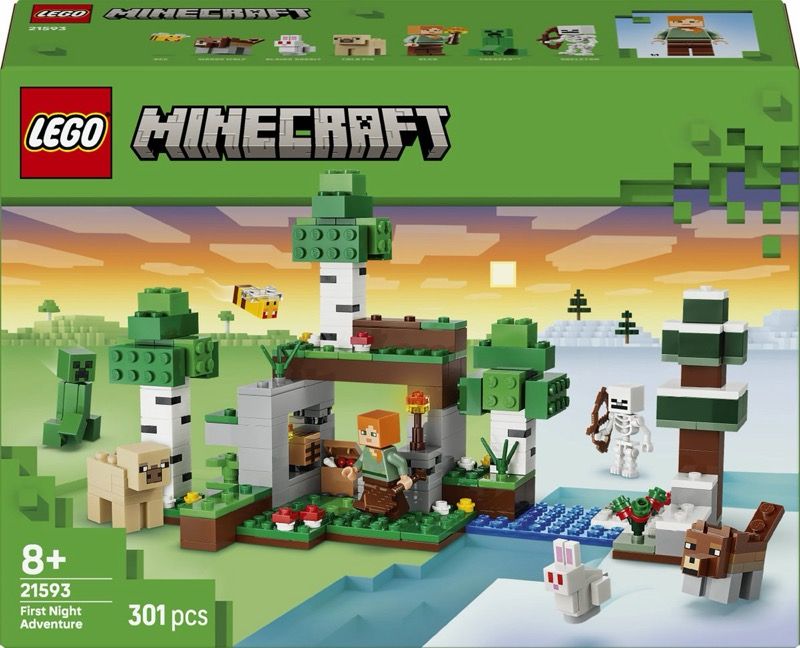 LEGO Minecraft Eerste Nacht-Avontuur (21593)